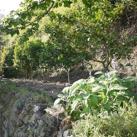 Panoramic In The Nature Of Ferienhaus *