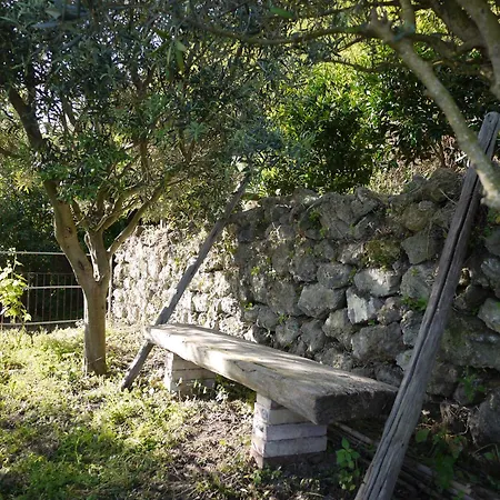 Panoramic In The Nature Of * Ischia