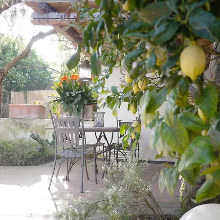 Ferienhaus Panoramic In The Nature Of Ischia
